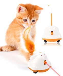 Interactive Pet Toys